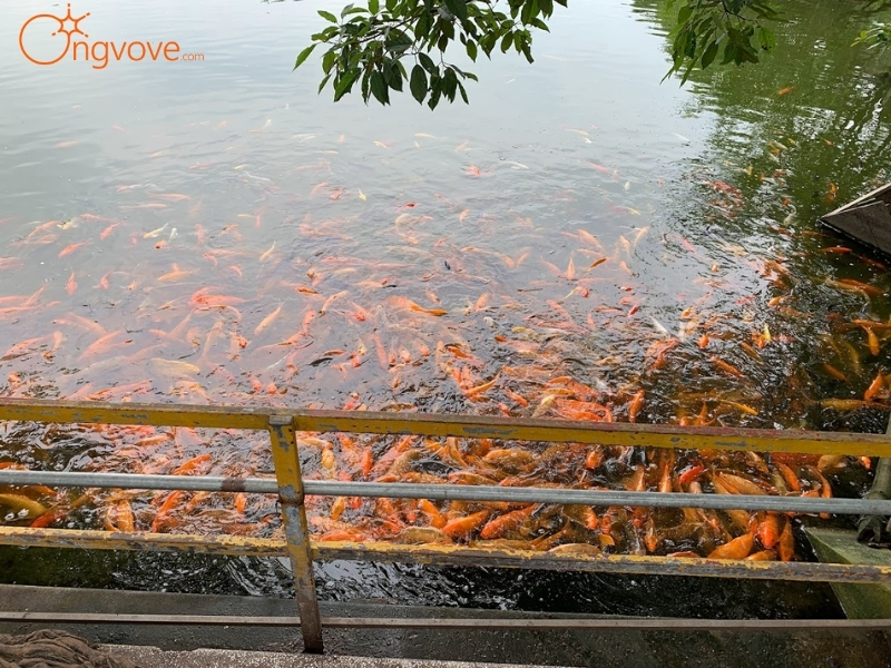 Kinh Tế Đền Bà Chúa Vực Hưng Yên: Góp Phần Phát Triển Địa Phương