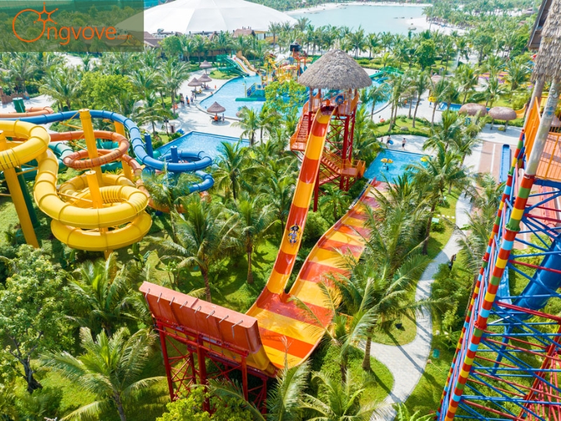 Ong Vò Vẽ Travel Chuyên Cung Cấp Thông Tin Tour, Địa Điểm Du Lịch Tại VinWonders Water Park Hưng Yên
