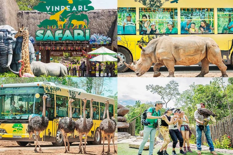 Kinh nghiệm đi Vinpearl Safari Phú Quốc 2023 đầy đủ, chi tiết nhất