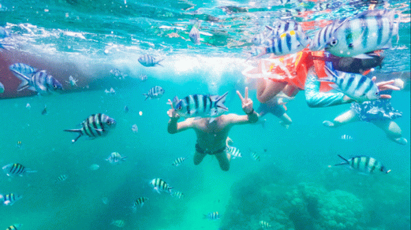 Lặn Biển Câu Cá Bằng Tàu Cao Tốc Catamaran - Tour Phú Quốc 1N