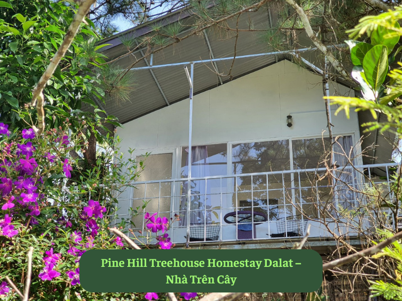 Pine Hill Treehouse Homestay Dalat