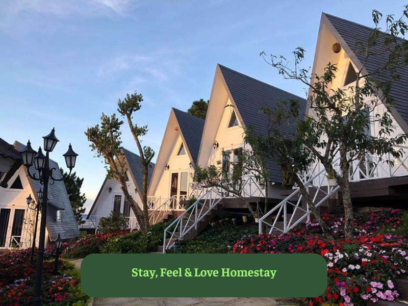 Stay, Feel & Love Homestay