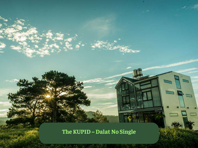 The KUPID – Dalat No Single
