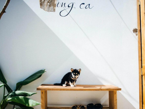 Thung Ca Homestay Đà Lạt