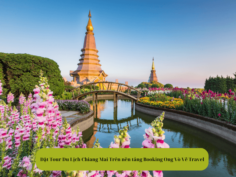 Đặt Tour Du Lịch Chiang Mai Trên nền tảng Booking Ong Vò Vẽ Travel
