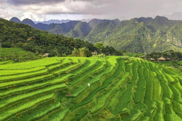 Tour Du Lịch 1 Ngày Tại Thanh Hóa
