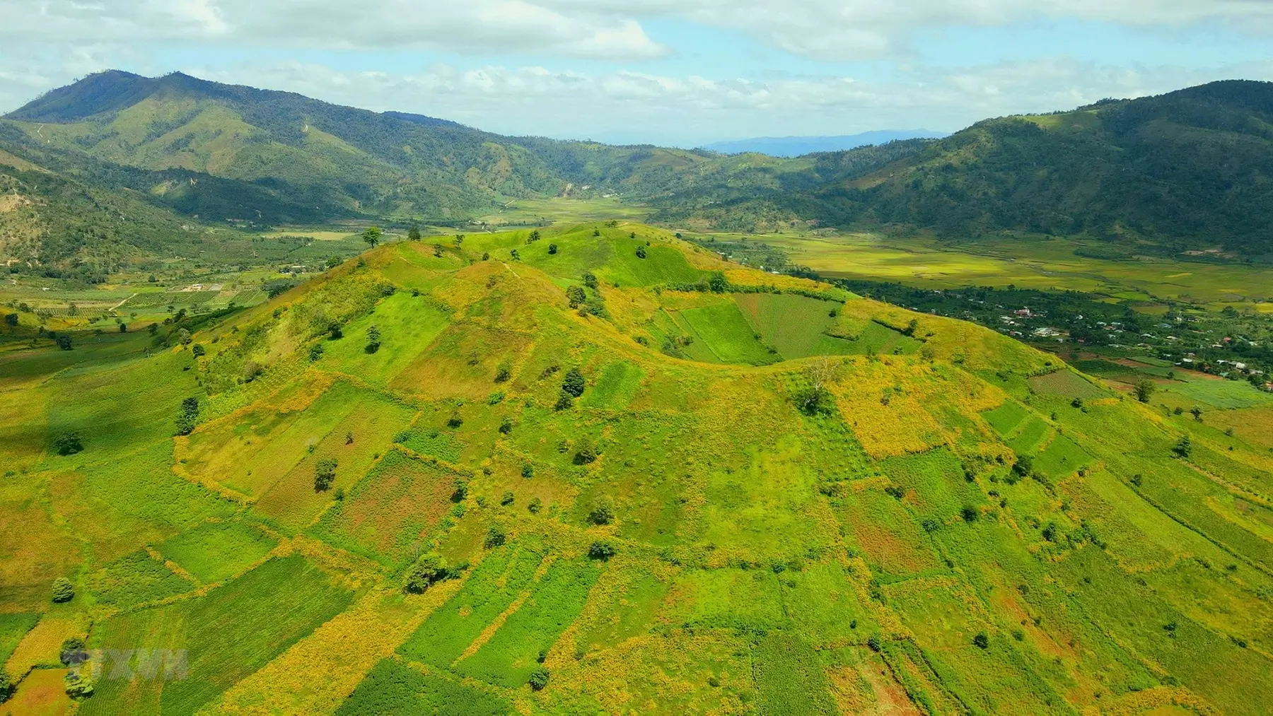 Tour Du Lịch 1 Ngày Tại Gia Lai