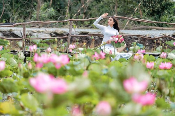 Tour Du Lịch 1 Ngày Tại Đồng Tháp