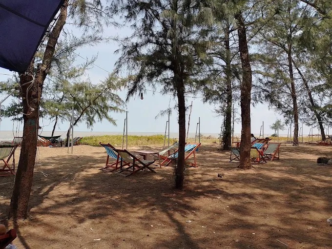 Tour Du Lịch Cần Giờ 1 Ngày Tại TPHCM