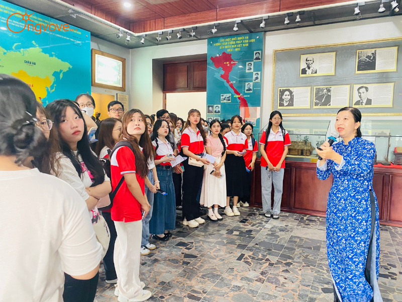 Lời Khuyên "Độc Quyền" Từ Ong Vò Vẽ Travel Để Chuyến Đi Bảo Tàng Trọn Vẹn