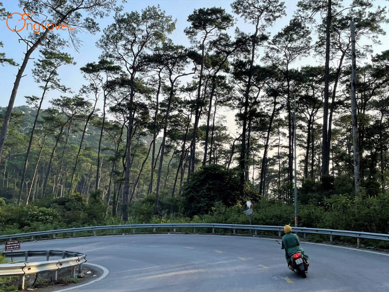 Giá Tour & Dịch Vụ Đi Kèm Tại Ong Vò Vẽ Travel