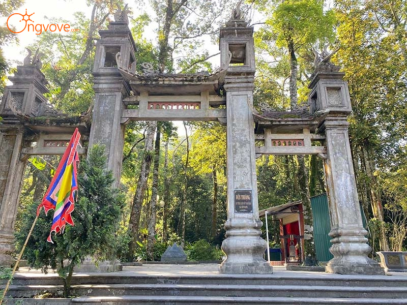 Kinh nghiệm Chuyên Gia Từ Ong Vò Vẽ Travel: Tối Ưu Chi Phí và Trải Nghiệm