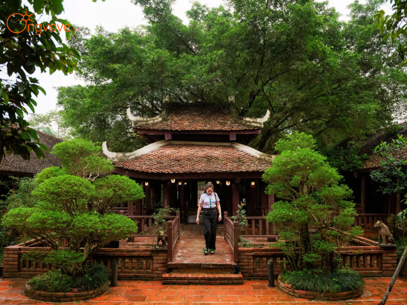 Kinh Nghiệm Du Lịch Khu Du Lịch Sinh Thái Long Việt 1 Ngày