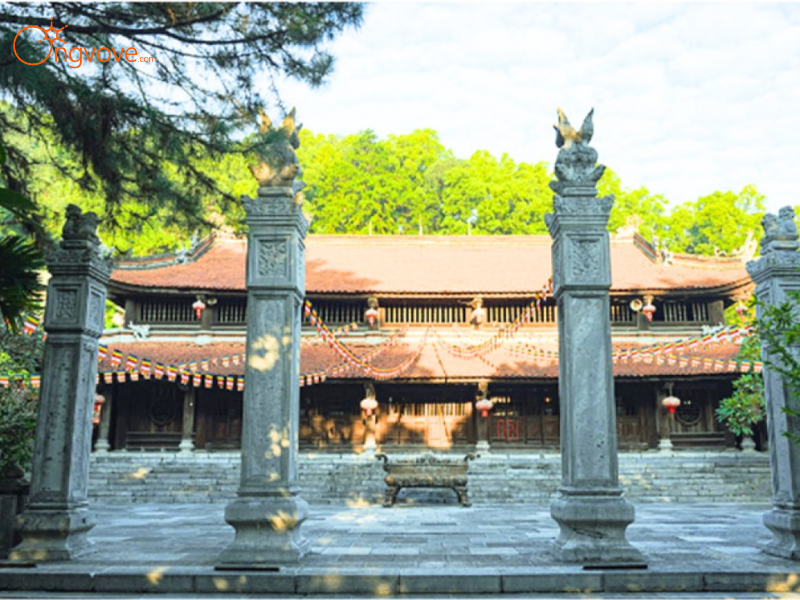 Kinh nghiệm Vàng từ Ong Vò Vẽ Travel