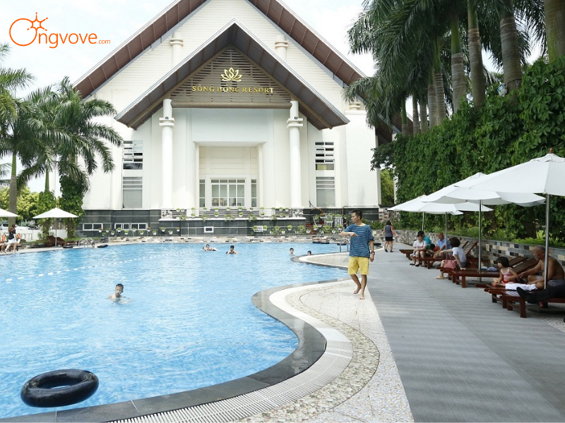 Bơi lội và thư giãn tại hệ thống bể bơi hiện đại