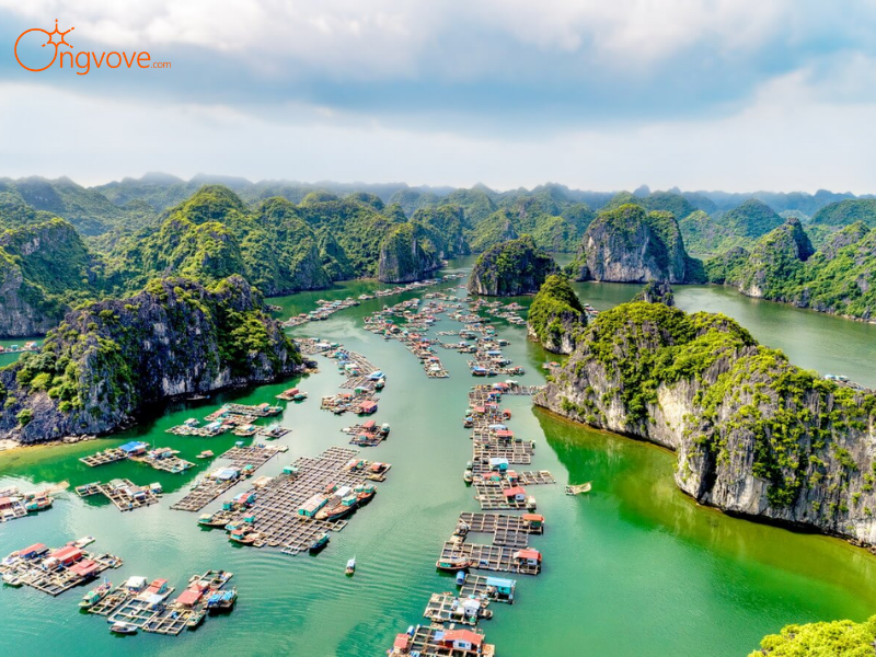 Khởi Hành Từ Hải Phòng & Chinh Phục Vịnh Lan Hạ