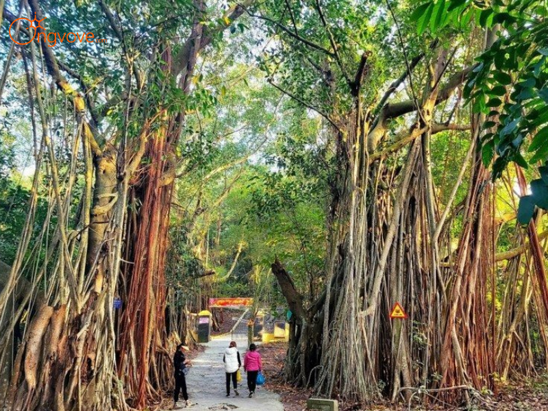 Đảo Hòn Dáu 1 Ngày Từ Hải Phòng