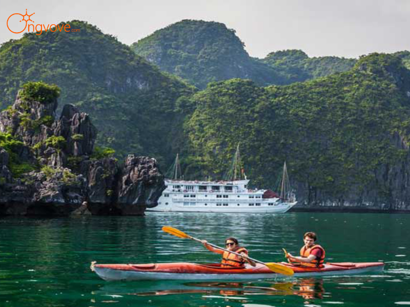 Giá Tour Vịnh Lan Hạ 1 Ngày Từ Hải Phòng