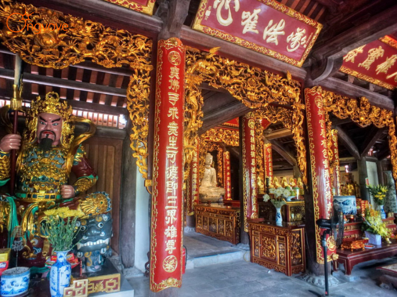 Kinh nghiệm Chuyên Gia Từ Ong Vò Vẽ Travel