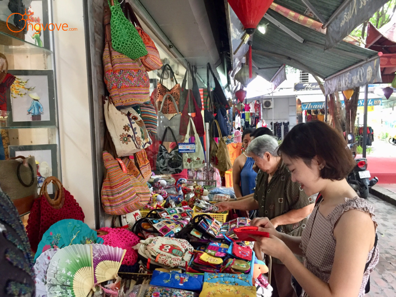 Kinh nghiệm Chuyên Gia Từ Ong Vò Vẽ Travel