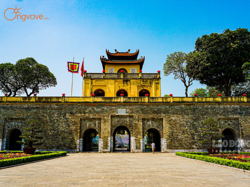 Kinh Nghiệm Chuyên Gia Từ Ong Vò Vẽ Travel