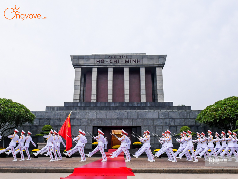 Kinh nghiệm Chuyên Gia Từ Ong Vò Vẽ Travel