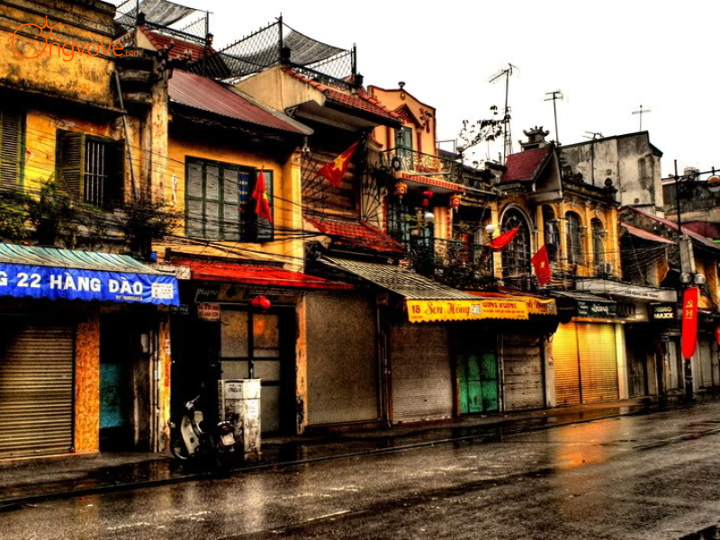 Kinh nghiệm Chuyên Gia Từ Ong Vò Vẽ Travel