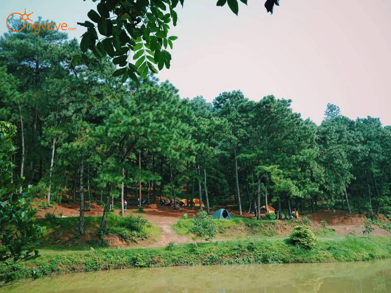 Kinh nghiệm Chuyên Gia Từ Ong Vò Vẽ Travel