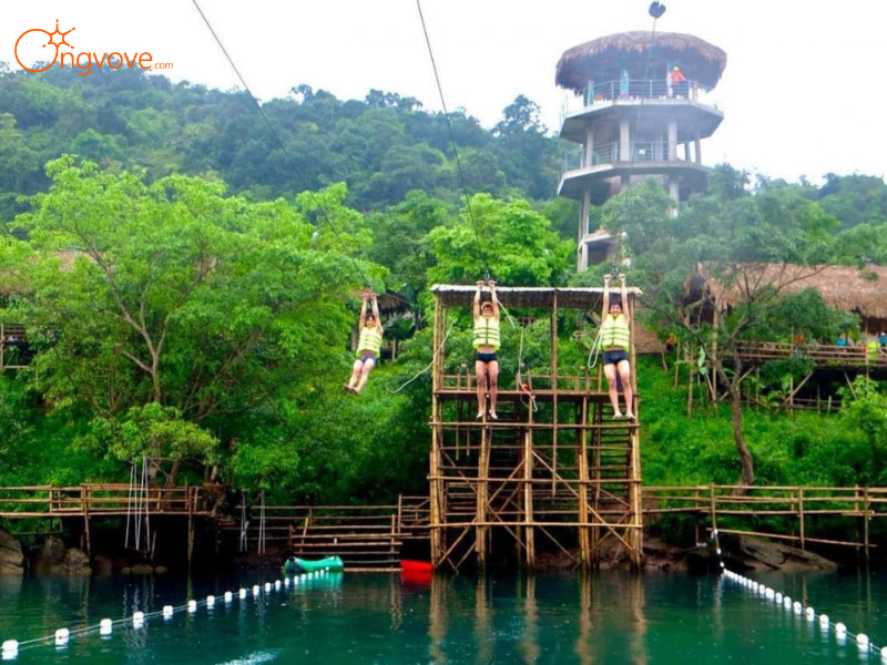 Kinh nghiệm Chuyên Gia Từ Ong Vò Vẽ Travel