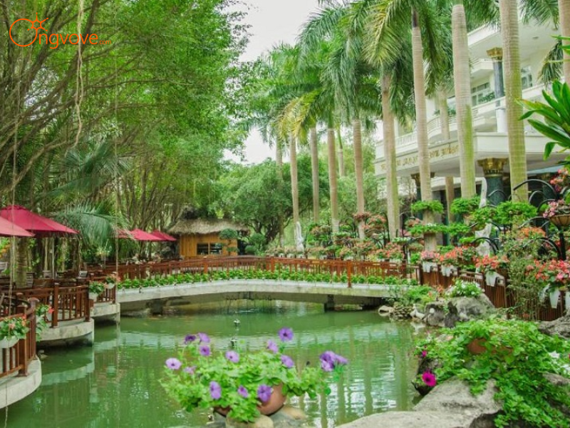 Kinh nghiệm Chuyên Gia Từ Ong Vò Vẽ Travel