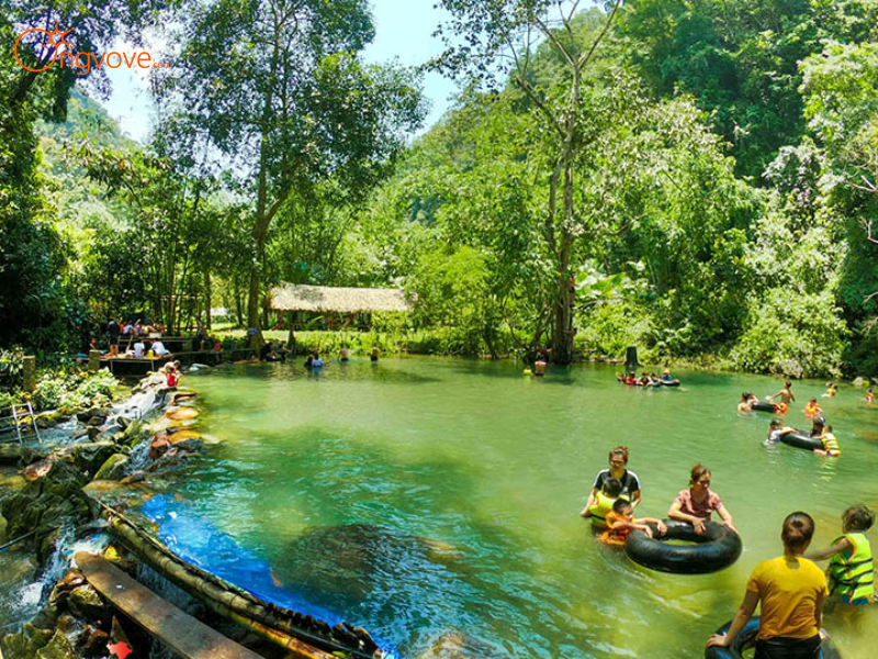 Kinh nghiệm Chuyên Gia Từ Ong Vò Vẽ Travel
