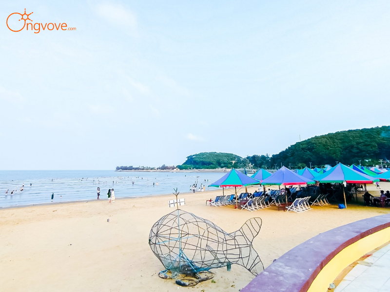Lịch Trình Tour Đồ Sơn 1 Ngày Chuẩn Ong Vò Vẽ Travel