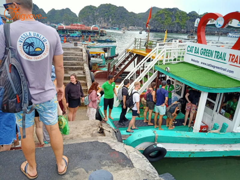 Lịch Trình Tour Vịnh Lan Hạ 1 Ngày Chuẩn Ong Vò Vẽ Travel