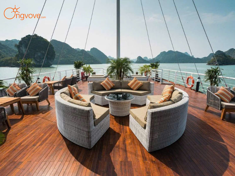 Tại Sao Nên Chọn Ong Vò Vẽ Travel Cho Chuyến Khám Phá Vịnh Lan Hạ?