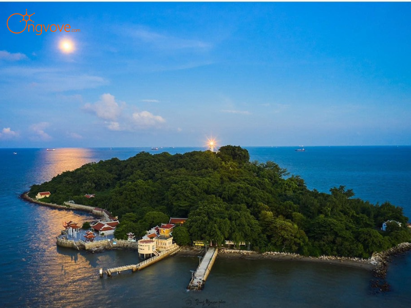 Tại Sao Nên Lựa Chọn Ong Vò Vẽ Travel Cho Chuyến Tour Đồ Sơn Của Bạn?