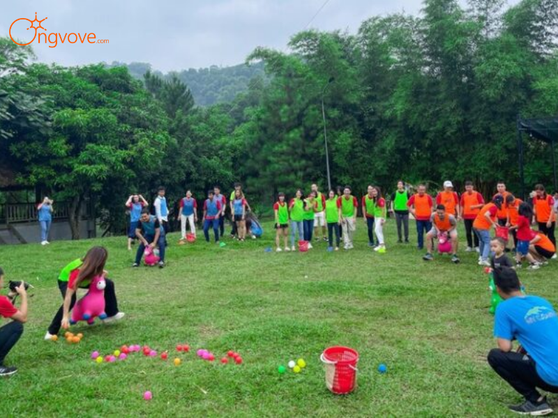 Tham gia các trò chơi team building và vận động ngoài trời
