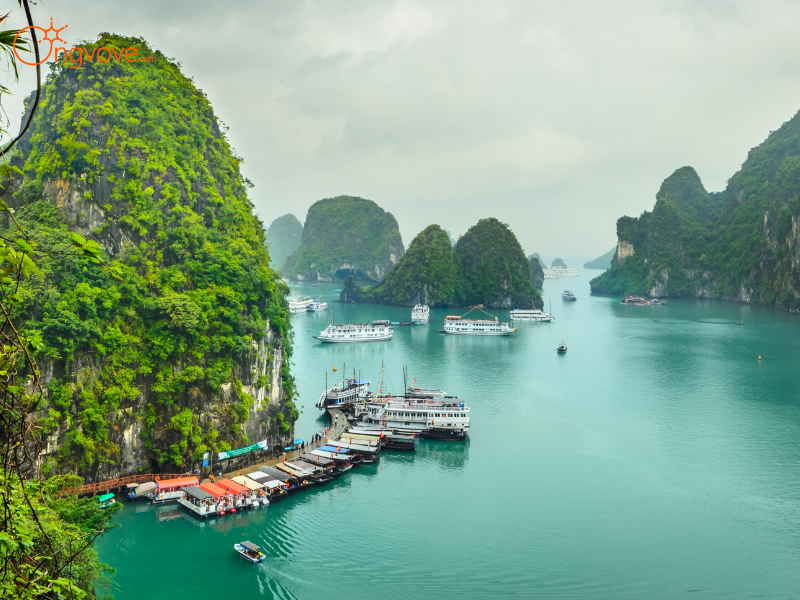 Tour Cát Bà 1 Ngày Từ Hải Phòng