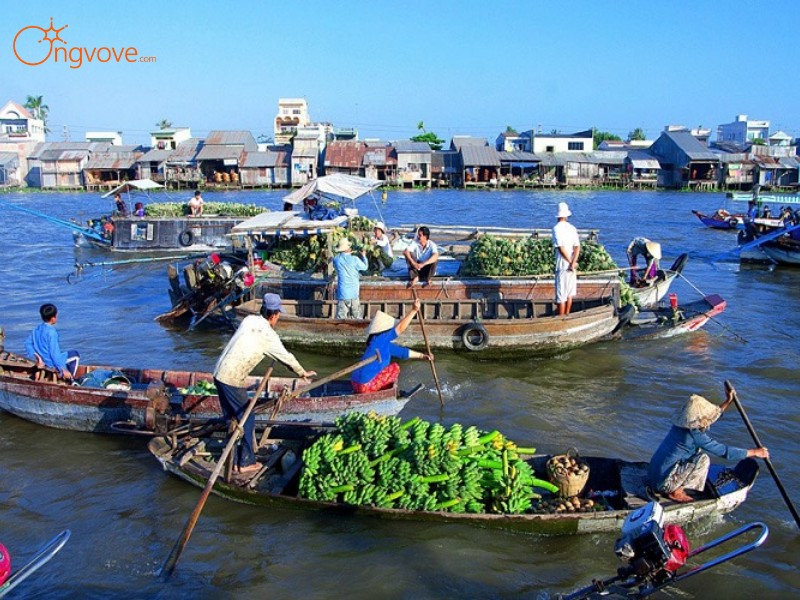 Chợ Nổi Cái Răng – Nơi Cuộc Sống Sông Nước Bắt Đầu