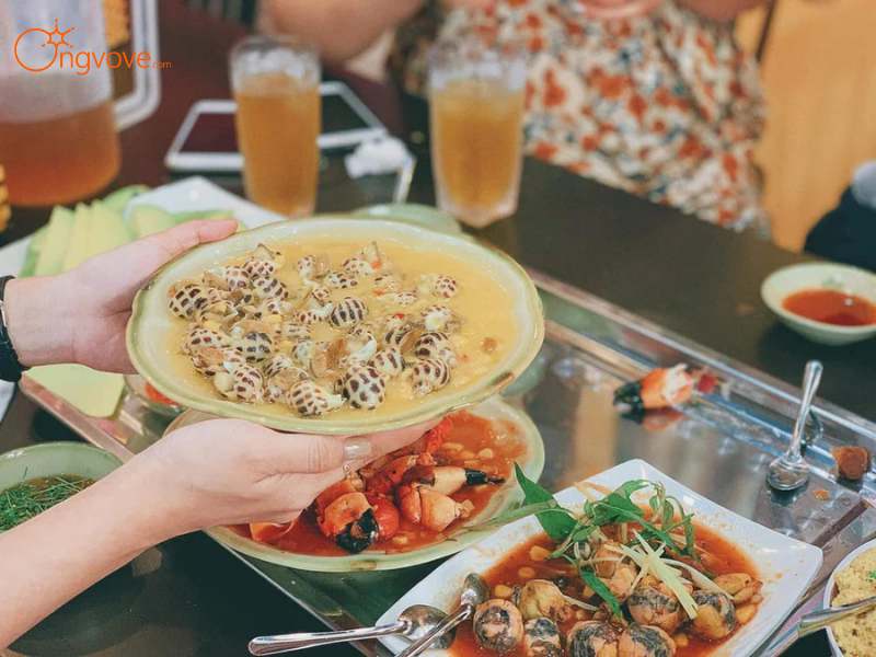 Giới thiệu