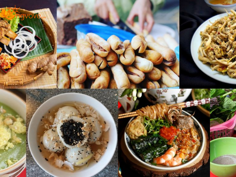 Giới thiệu