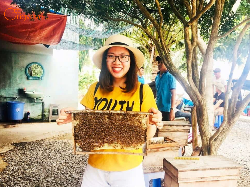 Lịch Trình Chi Tiết: Một Ngày Hóa Thân Thành Nông Dân Miền Tây