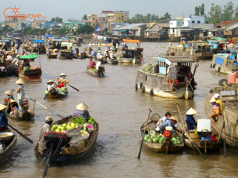 So Sánh Tour Chợ Nổi Cái Răng & Kênh Rạch Miệt Vườn 1 Ngày Với Các Hình Thức Khác