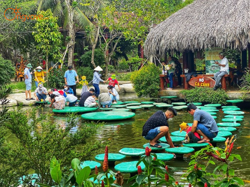Vì Sao Nên Chọn Tour Nông Trại Xanh Cần Thơ Một Ngày?