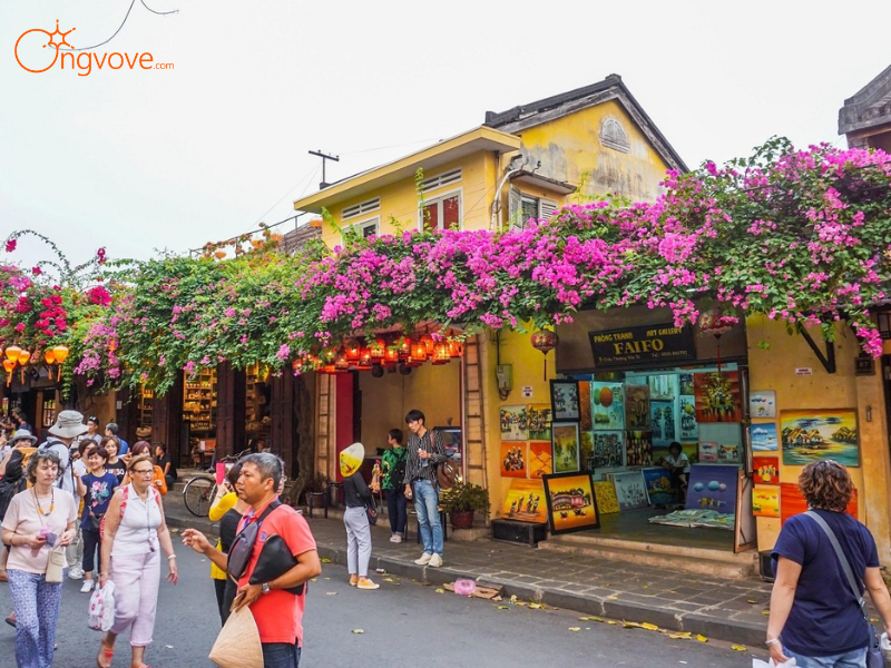 Chi Phí Tour Thánh Địa Mỹ Sơn & Phố Cổ Hội An 1 Ngày