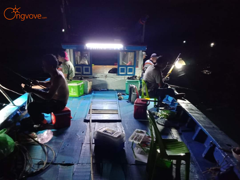 Lịch Trình Chi Tiết Tour Câu Mực Đêm Đà Nẵng 1 Ngày Cùng Ong Vò Vẽ Travel
