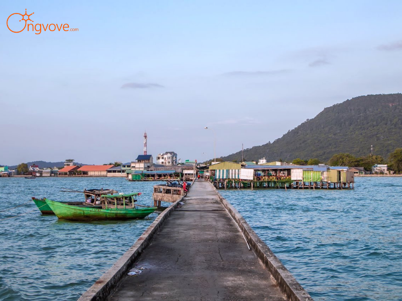 Lịch trình Buổi Chiều (13h30 - 17h30):