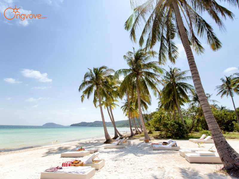 Lịch trình tour 3 đảo Phú Quốc: Khác biệt từ sự linh hoạt