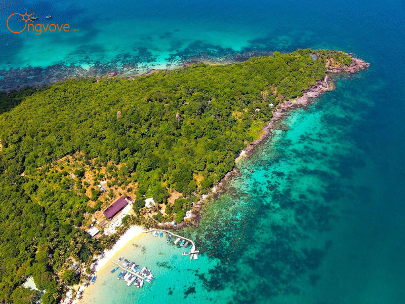 Tour tham quan Phú Quốc nửa ngày: Lợi thế của sự chuyên nghiệp