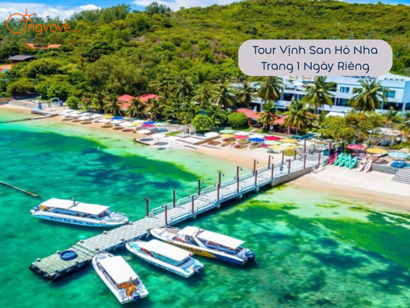 Tour Vịnh San Hô Nha Trang 1 Ngày Riêng