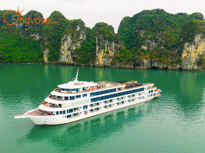 Câu Hỏi Thường Gặp (FAQ)